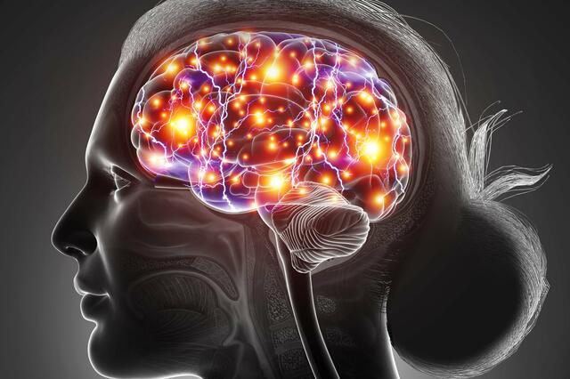 Lange Zeit waren die sogenannten Neurogliaformzellen für die Wissenschaft eine Black Box. Nun konnten jene Zellen, die die Informationsübertragung zwischen Gehirnarealen regulieren, identifiziert werden.  | Foto: Shutterstock