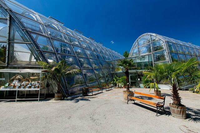 In den Gewächshäusern des Botanischen Garten Graz kann gleich durch mehrere Klimazonen und Temperaturbereiche spaziert werden. | Foto: Graz Tourismus/Harry Schiffer