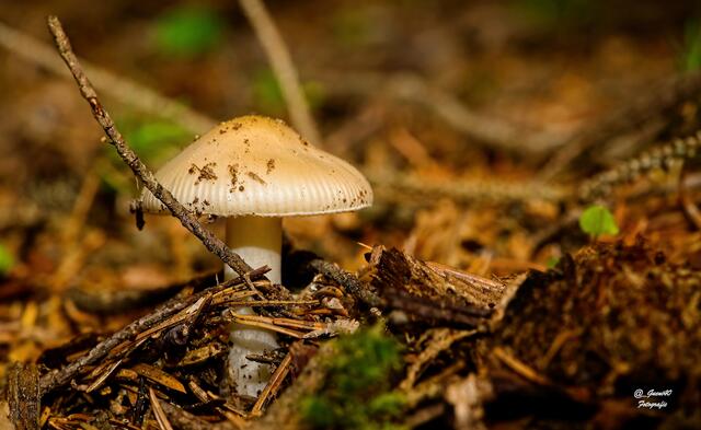 ........er muss alleine die Stellung halten........