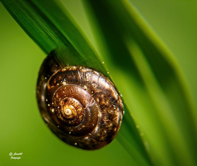 .......hier bin ich mal gelandet ......