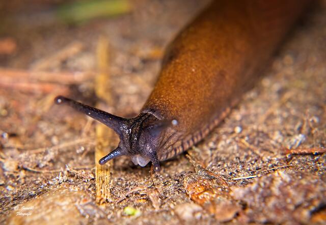 ......na,du bist leider nicht so beliebt.......