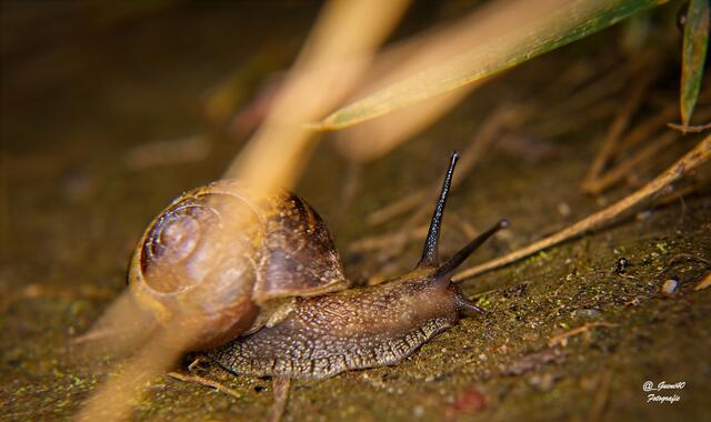 ........nur schön langsam .........