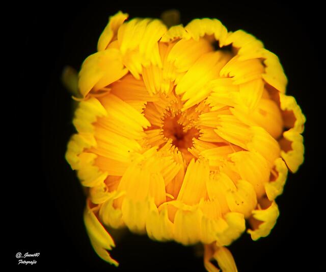 ......ich mag noch nicht ........