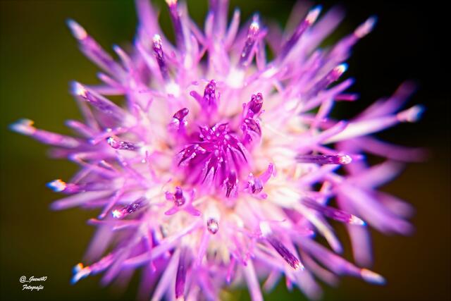 .....auch so ein Blick rein hat immer was Schönes .......