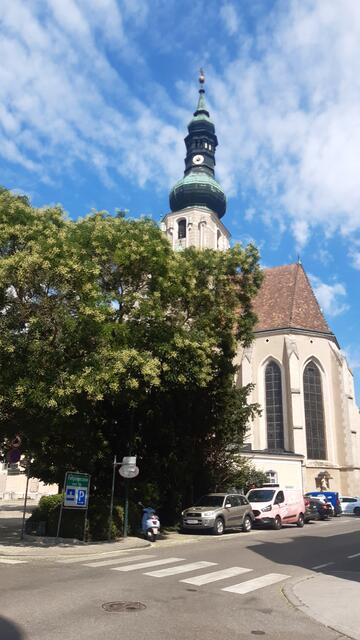 Foto: eigenes