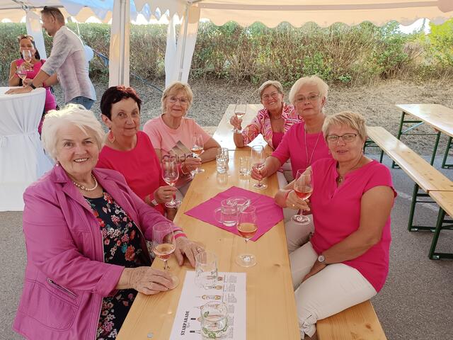 Die Damenrunde in Pink bestehend aus Lilo, Andrea, Edith, Irene, Anita und Christl ausmüsierte sich hervorragend