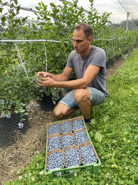 Foto: RegionalMedien Ulrich Gutmann