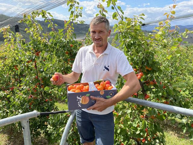 Foto: RegionalMedien Ulrich Gutmann