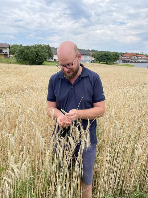 Rupert Hütter überprüft die Qualität des Roggens. | Foto: RegionalMedien Ulrich Gutmann