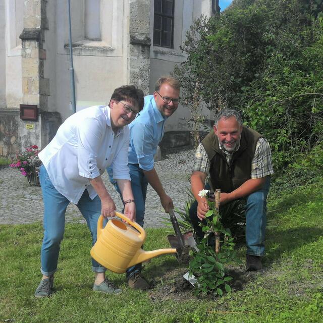 VP-Spitzenkandidat Florian Kamleitner (Mitte) | Foto: VP Krems