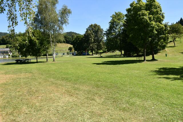 Liegewiese Badesee Waldhausen.  | Foto: Robert Zinterhof