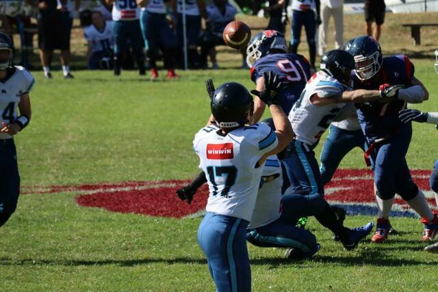 Im Finale warten wieder die Huskies Wels. | Foto: BSK Ravens