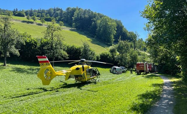 Ein 33-jährige Landwirt aus Gresten wurde bei einem Arbeitsunfall schwer verletzt. | Foto: Doku NÖ