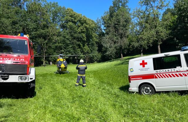 Ein 33-jährige Landwirt aus Gresten wurde bei einem Arbeitsunfall schwer verletzt. | Foto: Doku NÖ