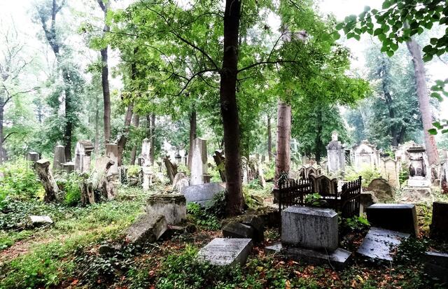 Dieses Foto vom Jüdischen Friedhof Währing wurde im Herbst gemacht. | Foto: Ingrid Aberbach