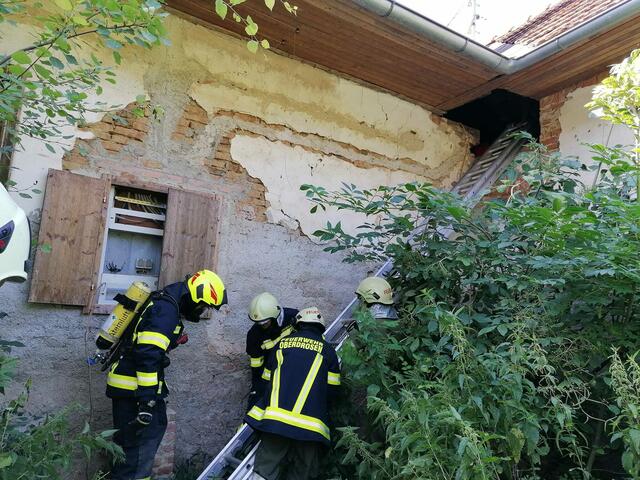 Die Teilnehmer der Feuerwehrübung mussten sich ihren Weg durch unzugängliches Gelände bahnen. | Foto: Feuerwehr Oberdrosen