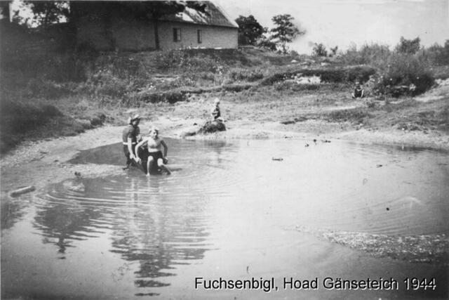 Baden hinterm Haus im Gänseteich. Willi Taibl öffnet seine Archive und zeigt uns seine Badeerlebnisse in Fuchselbigl 1944. Dieses Foto ist auch in der Topothek Haringsee zu finden. | Foto: Topothek Haringsee/Willi Taibl
