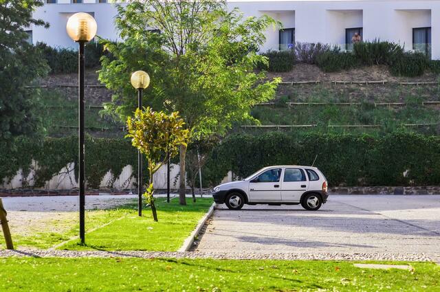 So sollte jeder großflächige Pkw-Abstellplatz mindestens einen Baum pro Stellplatz aufweisen und Asphalt oder Beton möglichst durch versickerungsfähige Oberflächen ersetzt werden. | Foto: pixabay 