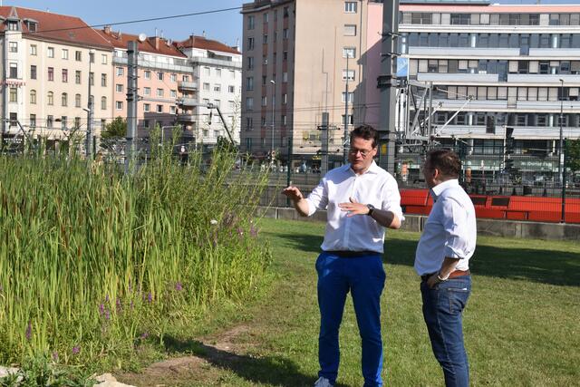 Klimstadtrat Jürgen Czernohorszky (l) zeigte sich von dem Biotop beim Meidlinger Bahnhof begeistert.