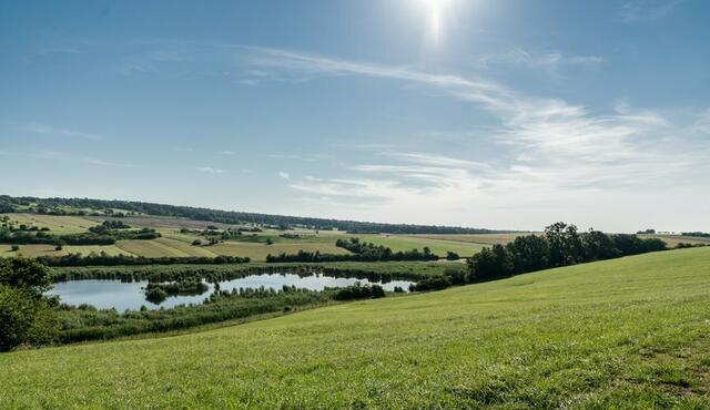 Der Kogelberg bietet eine schöne Route durch die ruhige Landschaft des Bezirks | Foto: KLAR!