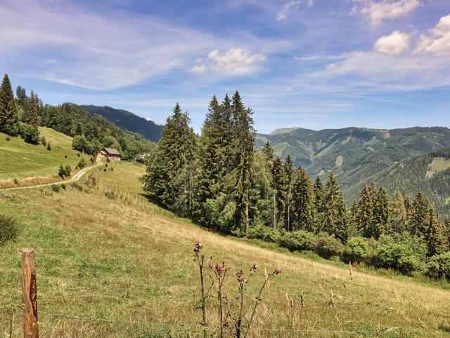 Aussichtsreich präsentieren sich die Almflächen der Aschberger Alm. | Foto: Weges OG