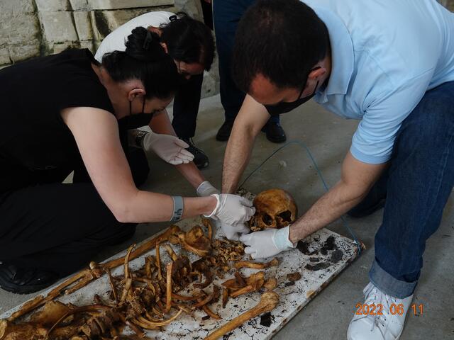 Der Salzburger Rechtshistoriker Daniele Mattiangeli bei der Untersuchung des Skeletts.  | Foto: Universität Salzburg