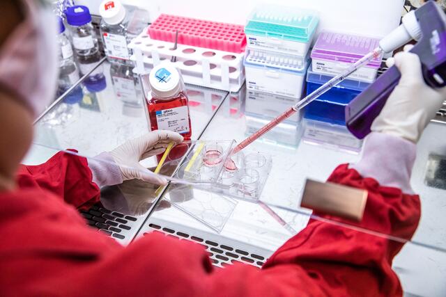 Die Wissenschaft in der Region forscht an Viren. | Foto: ISTA