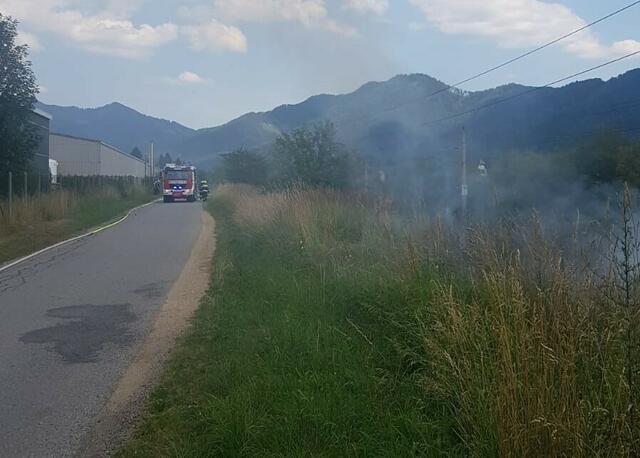 Foto: BFVMZ