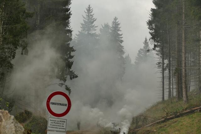 Alarm in der Steiermark: Es herrscht erhöhte Waldbrandgefahr. | Foto: Walter Horn
