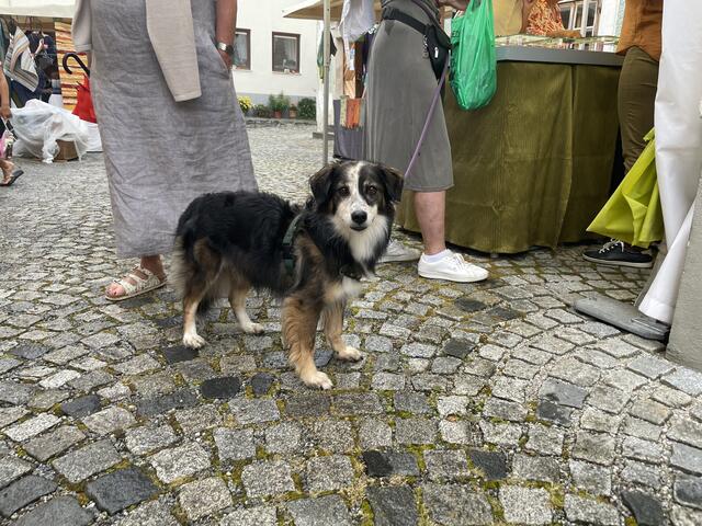 Foto: Melissa Nöckler