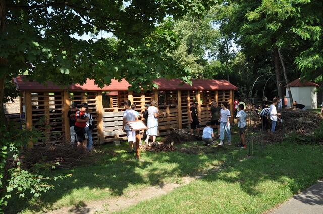 Die Kinder aus der Umgebung von Ebenfurth sind vom weltgrößten Insektenhotel begeistert - die Bienen und Schmetterlinge aber auch. | Foto: Hemmer