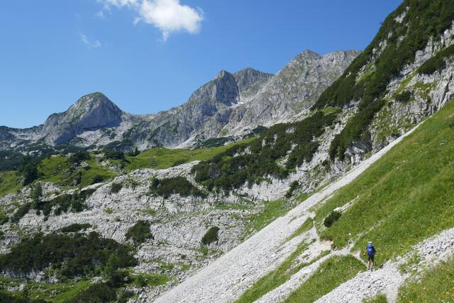 Am Zapfensteig. Im Hintergrund links der Sonntagskogel, die Hochkarfelderköpfe und ganz rechts die Tagweide.  | Foto: Thomas Neuhold