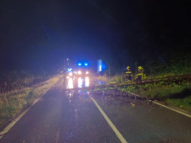 Die FF Köflach entfernte einen Baum auf der Gaberl-Bundesstraße, der umgestürzt war. | Foto: FF Köflach