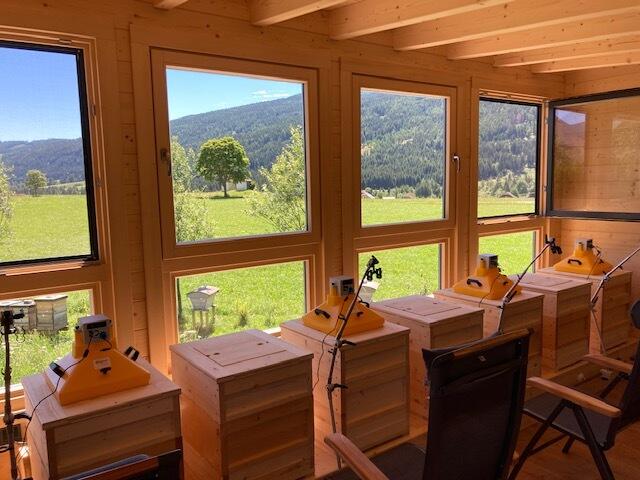 Die Therapiestation ist so aufgebaut, dass man nicht in direkten Kontakt mit Bienen kommt, ihnen aber durchs Fenster beim Fliegen zusehen kann. | Foto: Moser's Bienengarten