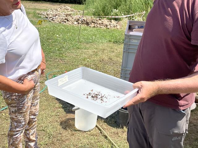 Sogar pflanzliche Überreste konnten sichergestellt werden. | Foto: Selina Dürnle