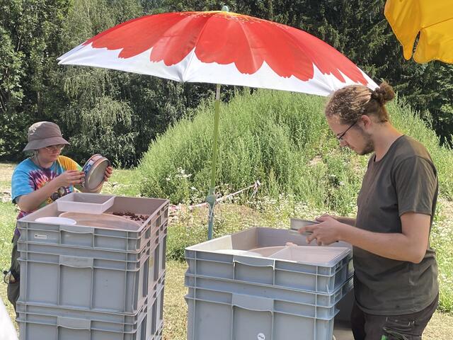 Foto: Selina Dürnle