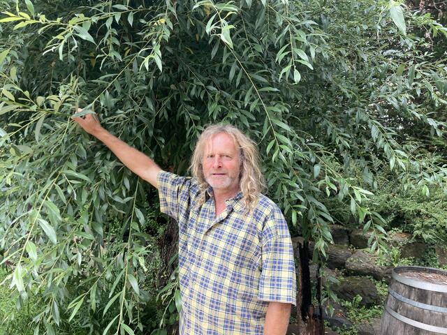 Richard Wilfling vor einer Weide in seinem Schaugarten in Stang bei Hatzendorf. | Foto: Raphaela Fink