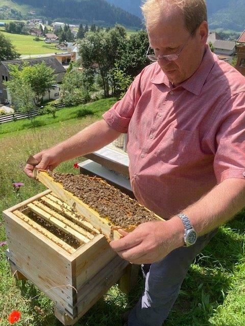 Bernhard Moser bei der Arbeit mit seinen "sanftmütigen Bienen". | Foto: Moser's Bienengarten