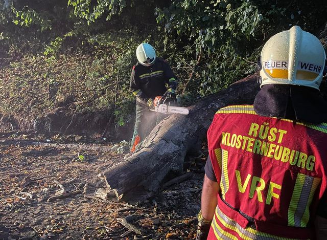 Die Feuerwehr konnte den Baum rasch von der Straße entfernen. | Foto: Feuerwehr Klosterneuburg