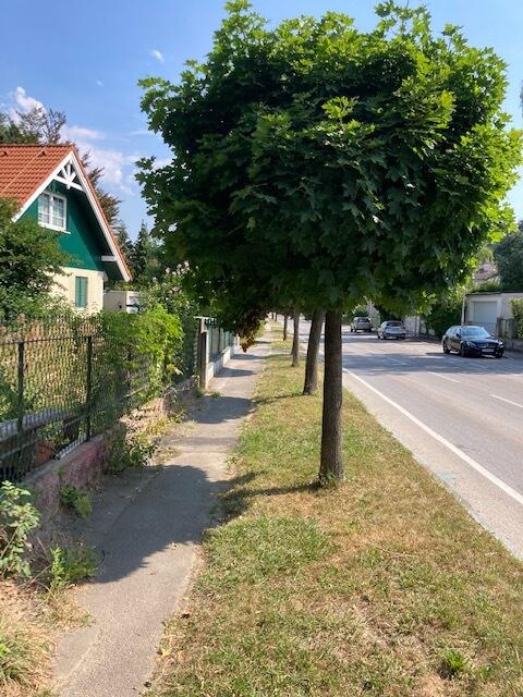 Foto: Markus Landrichter