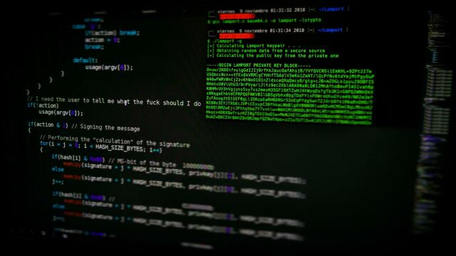 Die Fähigkeiten der Software: Screenshots machen, Tastatureingaben aufzeichnen, Dateien abgreifen, Systembefehle ausführen, weitere Softwareteile herunterladen, Passwörter absaugen, Location-Tracking sowie eine komplette Kontrolle des Geräts. | Foto: Arget / Unsplash