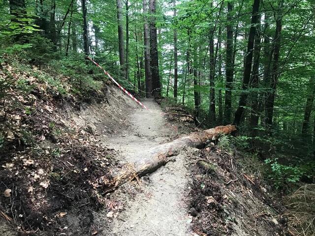 Ende Sommer soll der Hofwald-Trail befahrbar sein. | Foto: Berauer/FB