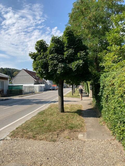 Foto: Markus Landrichter