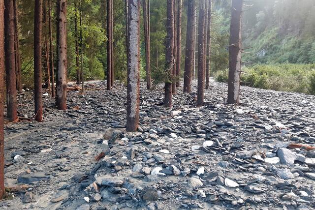 Gewitter sorgt für Verwüstungen im Oberpinzgau. | Foto: Gebhard Neumayr
