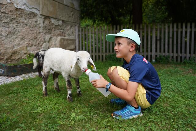 Foto: BMW Group Werk Steyr