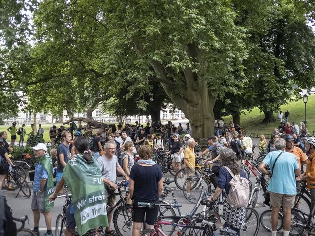 Foto: Harald Gaukel
