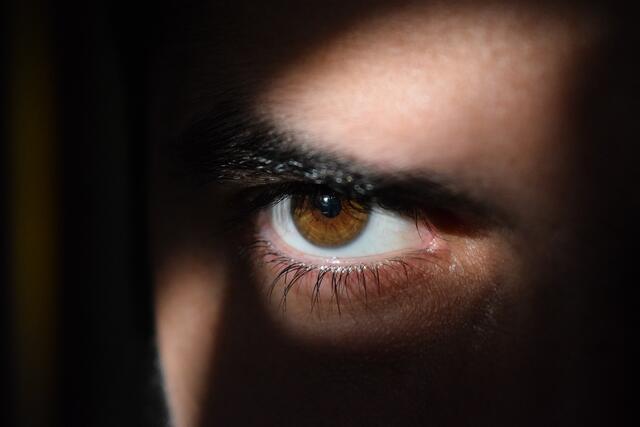 Kürzlich wurden Anzeigen wegen Spionageverdachts gegen drei in Tirol lebende türkische bzw. türkischstämmige österreichische Staatsangehörige erhoben. | Foto: Pixabay/Msporch (Symbolbild)