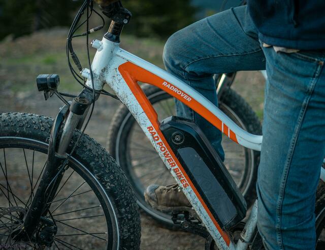 Das angezeigte Ehepaar gab an, dass ihm eines der E-Bikes geschenkt worden sei (Symbolfoto). | Foto: David French/Unsplash