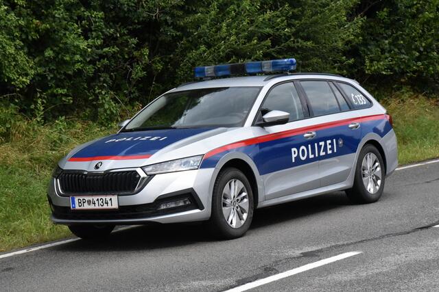 Foto: Alois Braid/zema-medien.de