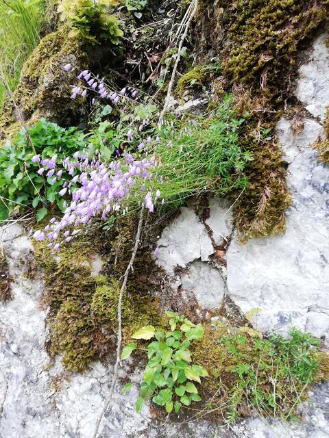 Foto: Veronika Frank